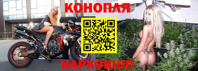 прущие крисы Будённовск
