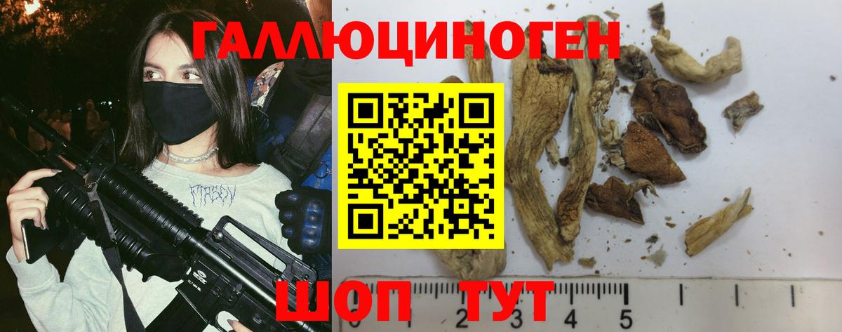 Галлюциногенные грибы Cubensis Кыштым