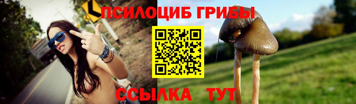 Галлюциногенные грибы Psilocybe  Вход с VPN  Кыштым 